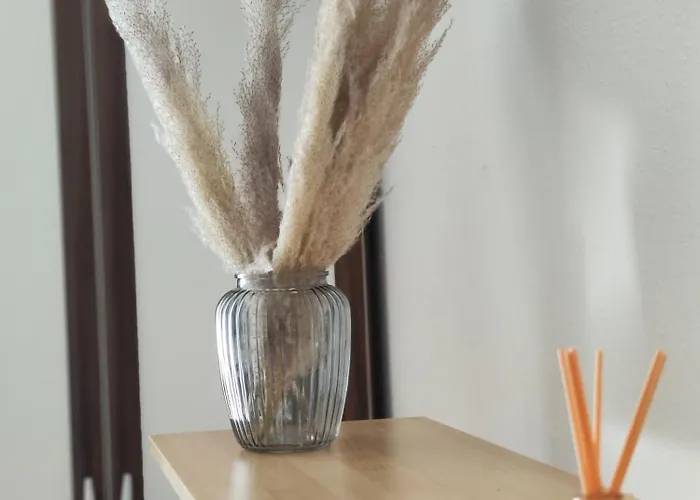 Monteurdomizil Πανσιόν *